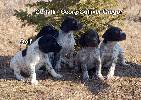 males 1 month