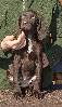 Deutsch Kurzhaar German Shorthaired Pointer puppy